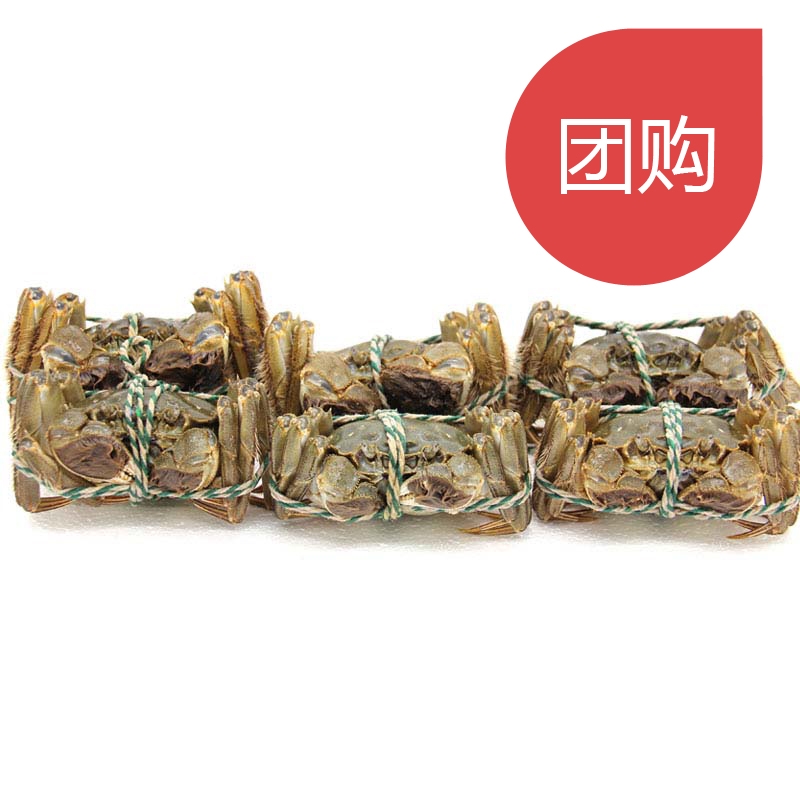 阳澄湖大闸蟹团购