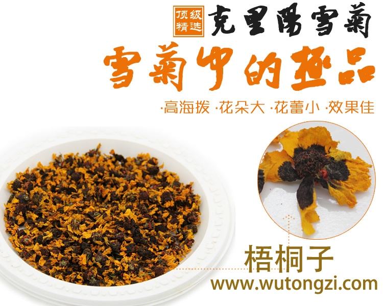 阳雪菊海品牌克里阳雪菊