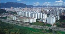 马婷婷