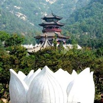 刘红
