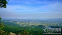 金镇栗