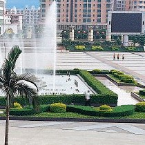 叶丽苹