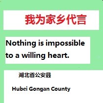 杨威