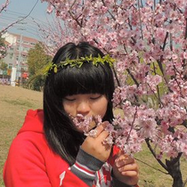 李会芬