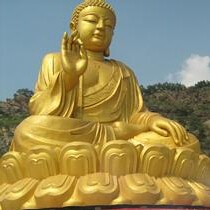 董威威