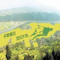 陶阳