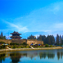 吴雅丽