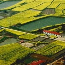 郝小红