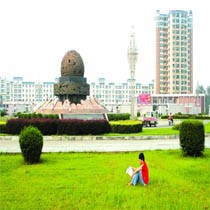 贾丽