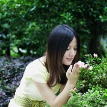 郭燕