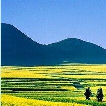 陈强