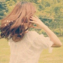 董菊