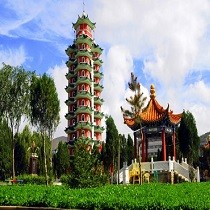 吴娇