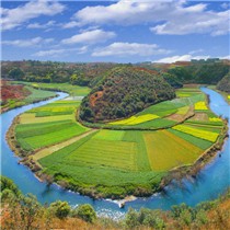 何雪婷