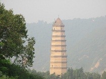 郝彤彤