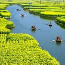 小苹果