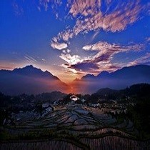 王敏