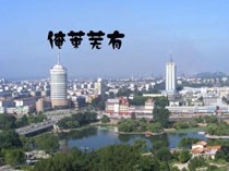 党娜