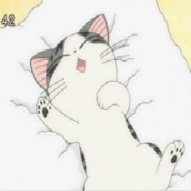 牟科名