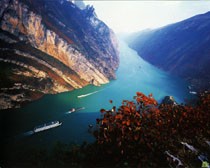 晓晓yy