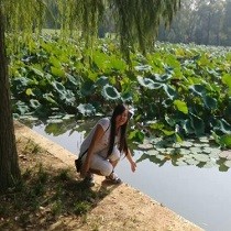 王丽