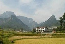 田紫怡