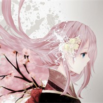 王晓琴