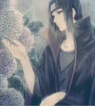 张帆