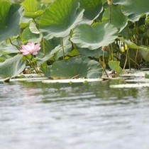 李晶宁