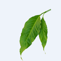 liu'