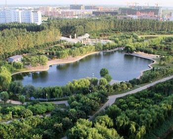曲周县——中国甜玉米之乡