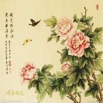 万玉洁