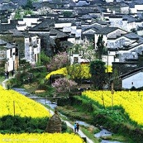 朱娓