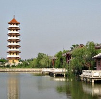进享年华
