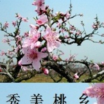小野君
