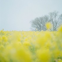 陈娟