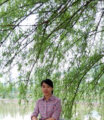 戚朝霞