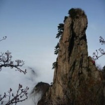 杨昇桦