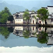 乐娟
