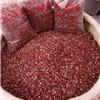 武都大红袍花椒颗粒特麻红椒新鲜干花椒颗粒花椒65g