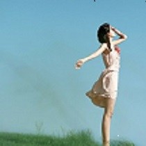 林秋金