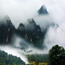 陈雯
