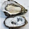 海蛎干 牡蛎干 海蛎 生蚝干200g大牡蛎肉金蚝鼓 海蛎子