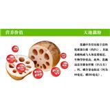 四川名特产乐至天池藕粉