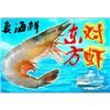东方对虾