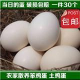 环县土特产 农家土鸡蛋柴鸡蛋婴幼儿孕妇食用