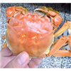 巢湖螃蟹