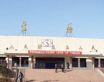 乔杨