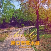 沈聪颖