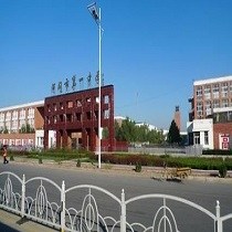 顾飞飞